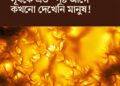 সূর্যের পৃষ্ঠে ভেসে উঠল ১৫০ বছর আগের কালজয়ী তত্ত্ব: প্রকাশিত ইতিহাসের সবচেয়ে স্পষ্ট ছবি